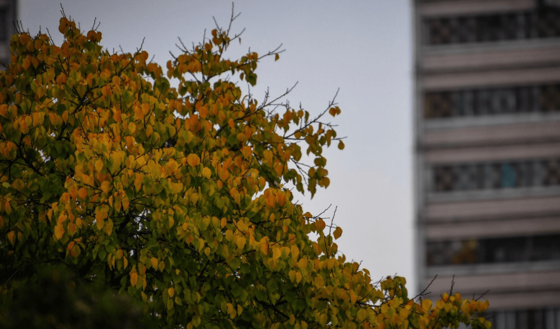 Bugun qanday ob-havo kuzatiladi?